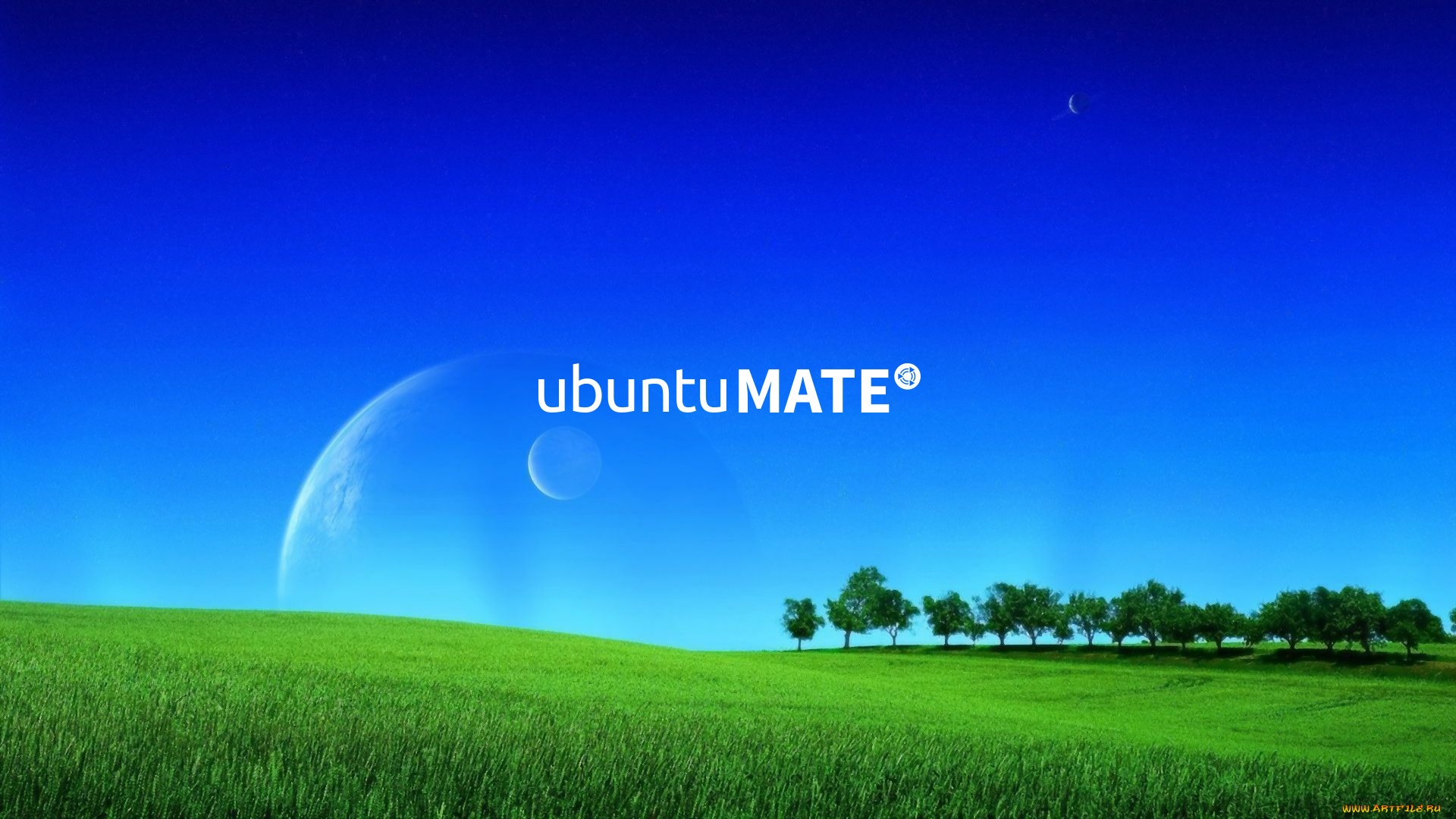 , ubuntu linux, , 